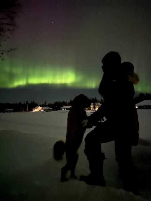 Lakefront Luxury Log Home With Spa & Aurora Views North Pole Eksteriør bilde