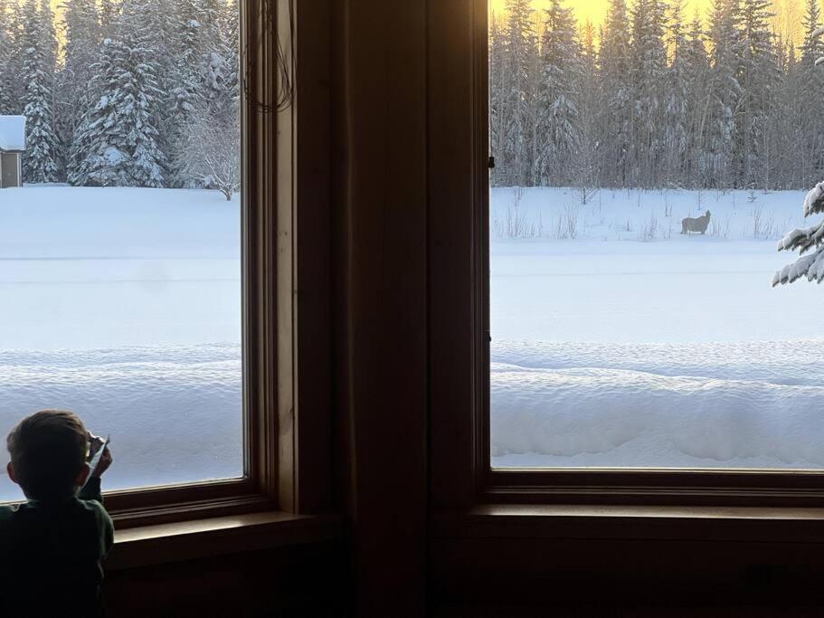 Lakefront Luxury Log Home With Spa & Aurora Views North Pole Eksteriør bilde